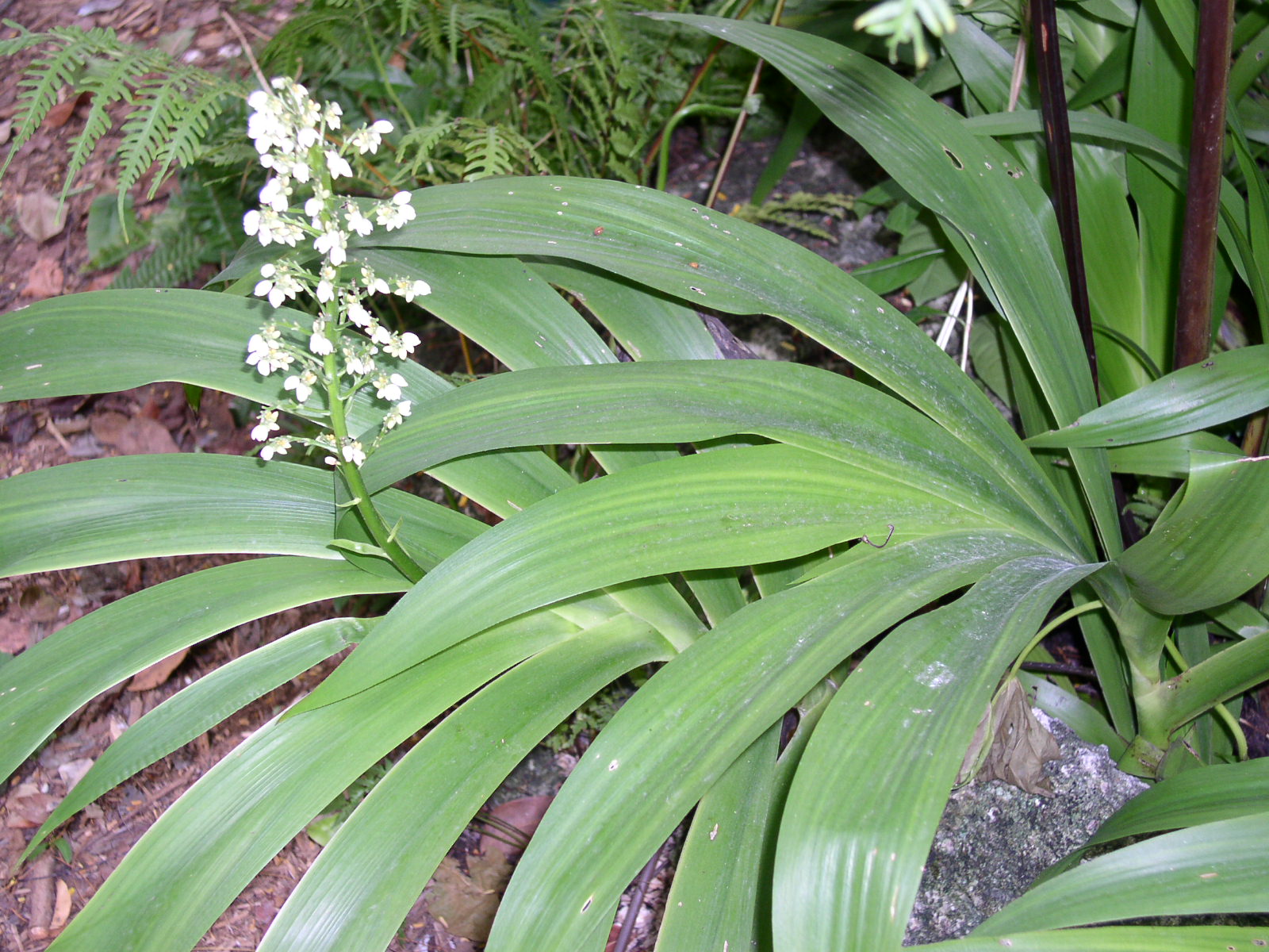 photo1